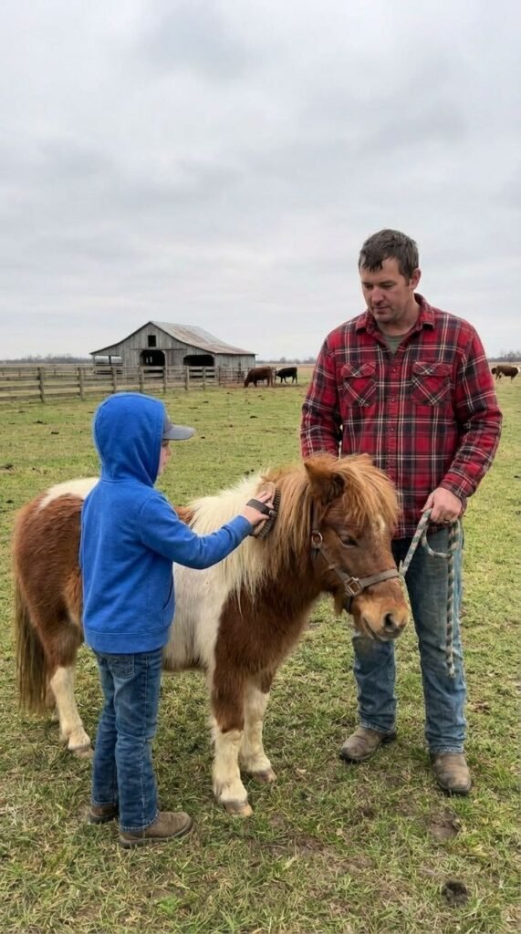 Child brushing a mini pony while a parent holds the lead rope in a green pasture at The Mustard Ranch in Lexington, Nebraska